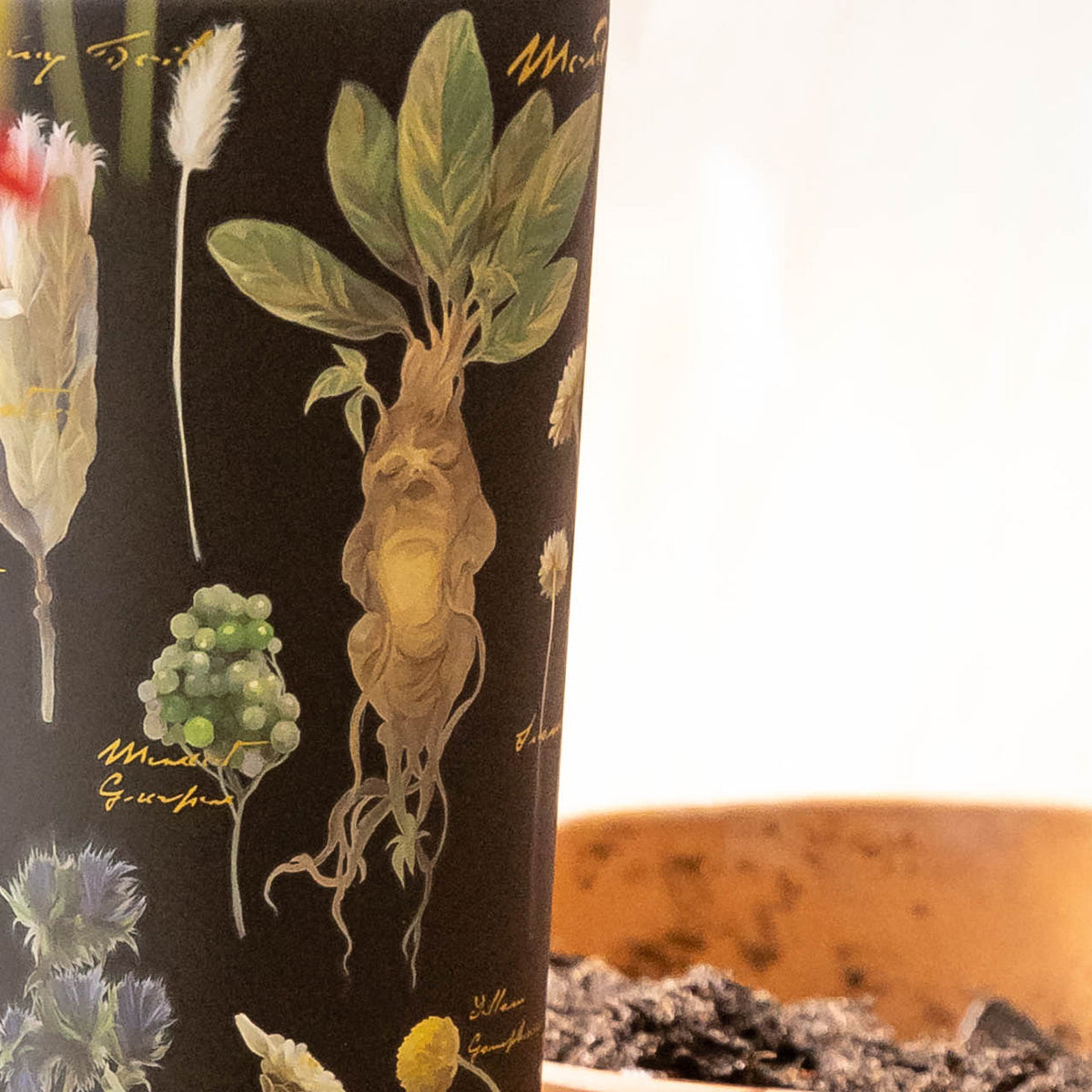 harry-potter-cold-cup-x2 Herbology-3.jpg